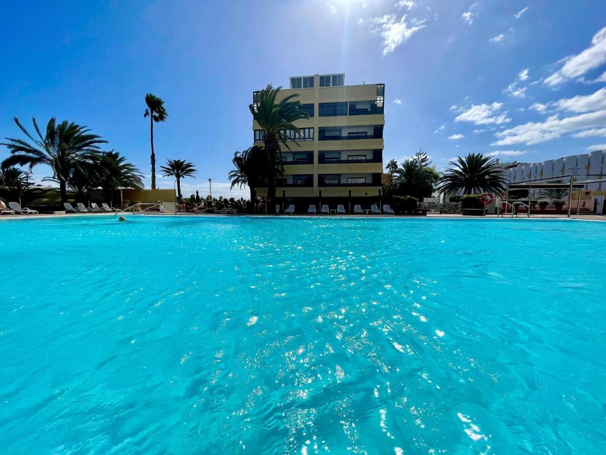 Appartement Golden Palm Tree *